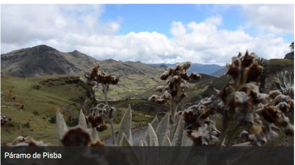 Parque Nacional Natural Pisba